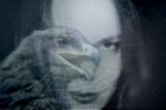 Filename=Adler2.jpg
Filesize=23KiB
Dimensions=600x400
Date added=Feb 03, 2005 Adler2.jpg
