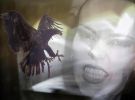 Filename=Adler3.jpg
Filesize=28KiB
Dimensions=600x442
Date added=Feb 03, 2005 Adler3.jpg