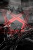 Drache1g.jpg