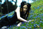 bluecarpetofflowers.jpg