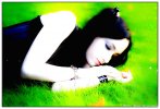 Filename=chicifairy.jpg
Filesize=134KiB
Dimensions=800x542
Date added=Oct 10, 2005 chicifairy.jpg