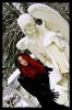 Filename=angel.jpg
Filesize=185KiB
Dimensions=567x850
Date added=Dec 11, 2007 angel.jpg