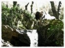 Filename=Broceliande.JPG
Filesize=49KiB
Dimensions=650x487
Date added=May 21, 2007 Broceliande.JPG