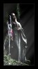 Filename=brave_of_dark_ages6.jpg
Filesize=93KiB
Dimensions=370x670
Date added=Sep 03, 2008 brave_of_dark_ages6.jpg
