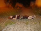 DSC02855.JPG