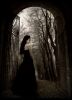 Filename=Alone.jpg
Filesize=123KiB
Dimensions=926x1274
Date added=Jun 12, 2011 Alone.jpg